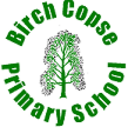 Safeguarding Report for Birch Copse Primary